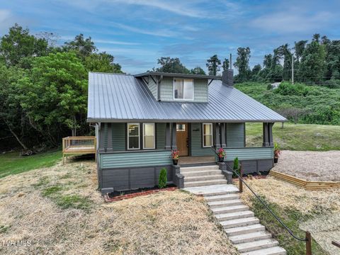 40 Iron Bridge Road Mosheim TN 37818