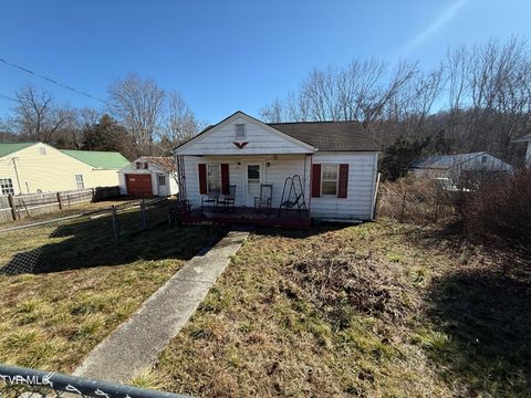 Photo of 163 Ruby Avenue, Elizabethton, TN 37643 (MLS # 9991378)