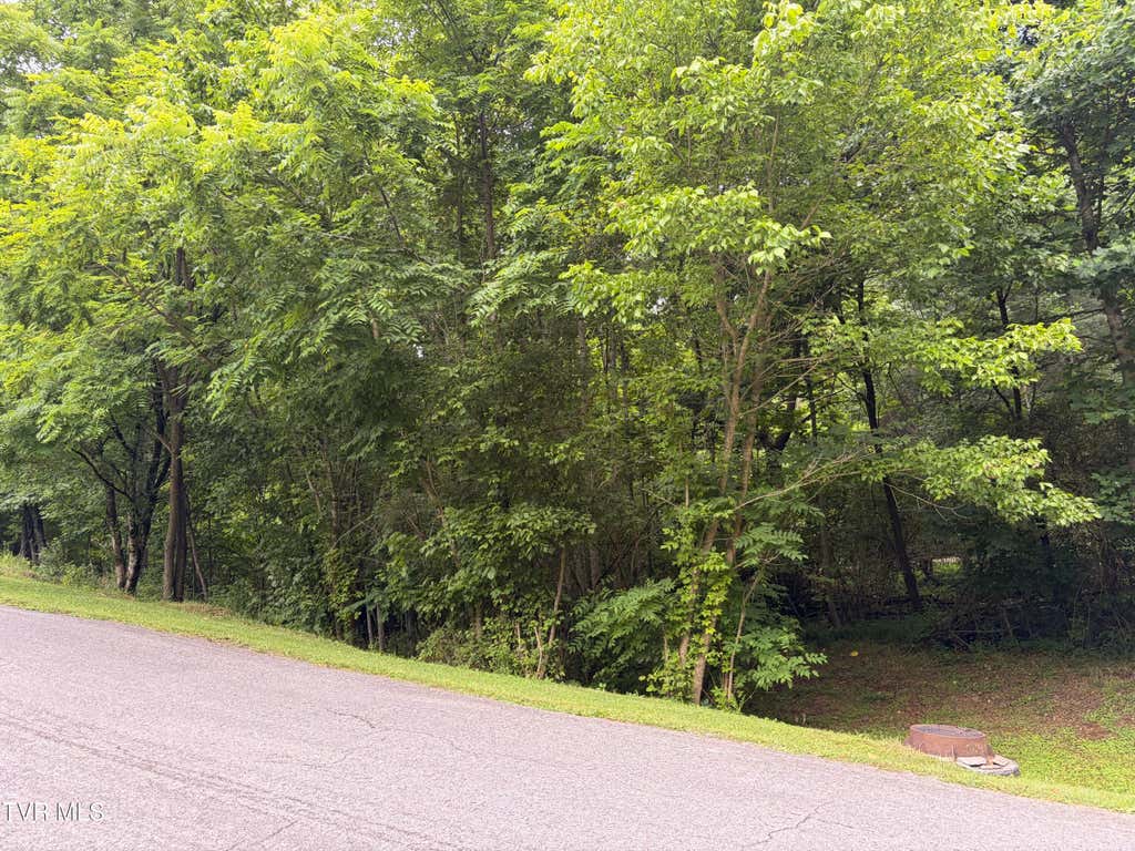Photo of Tbd Woodhurst Street, Weber City, VA 24290 (MLS # 9997128)