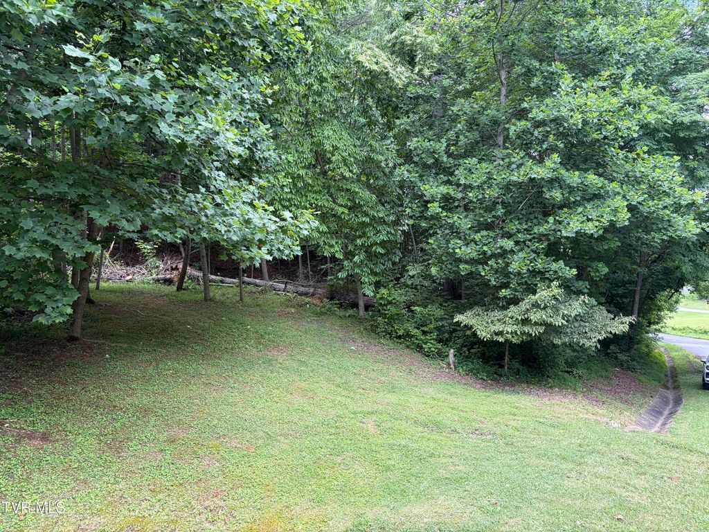 Photo of Tbd Woodhurst Street, Weber City, VA 24290 (MLS # 9997128)