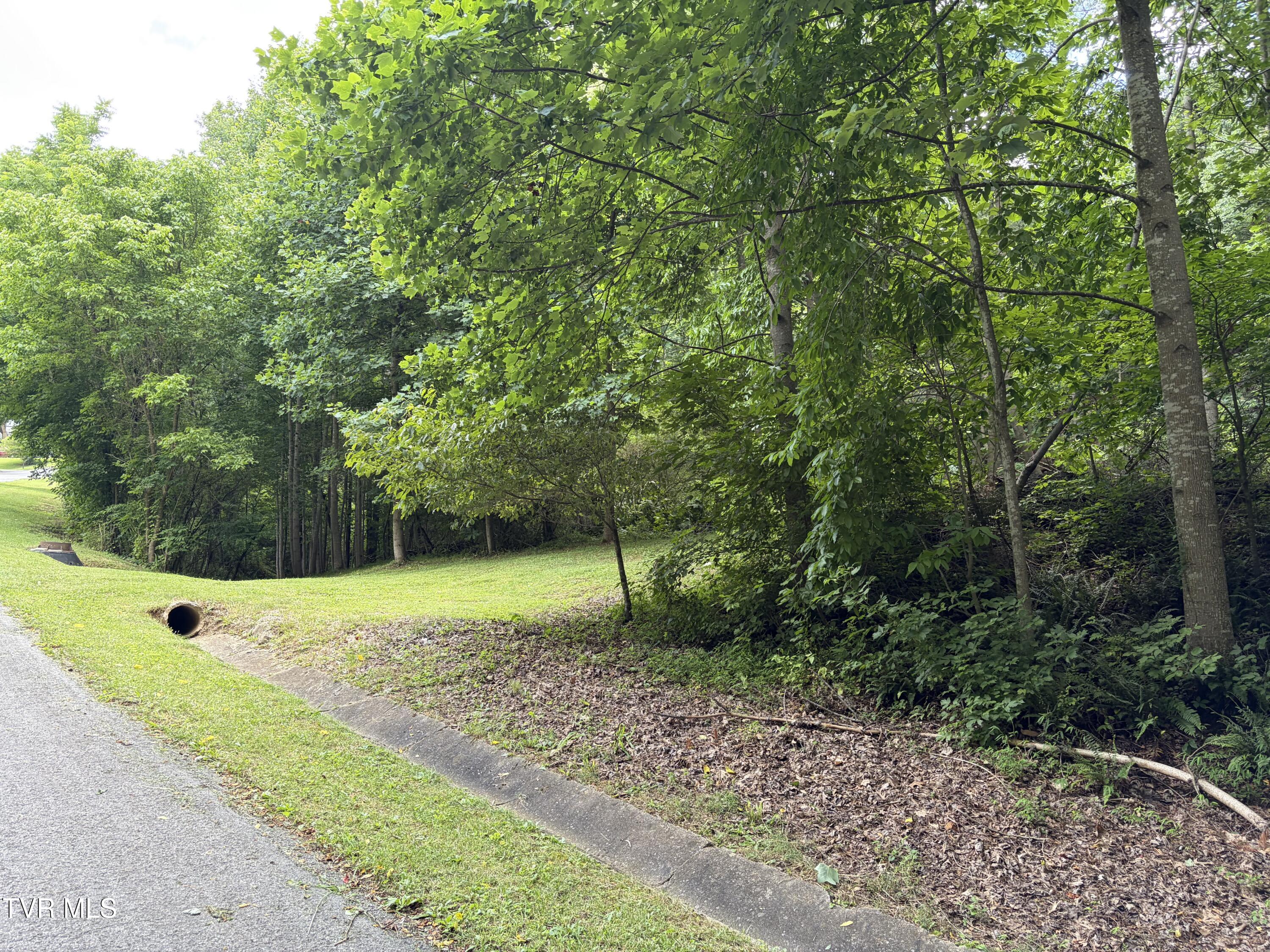 Photo 1 of 6 — Tbd Woodhurst Street, Weber City, VA 24290