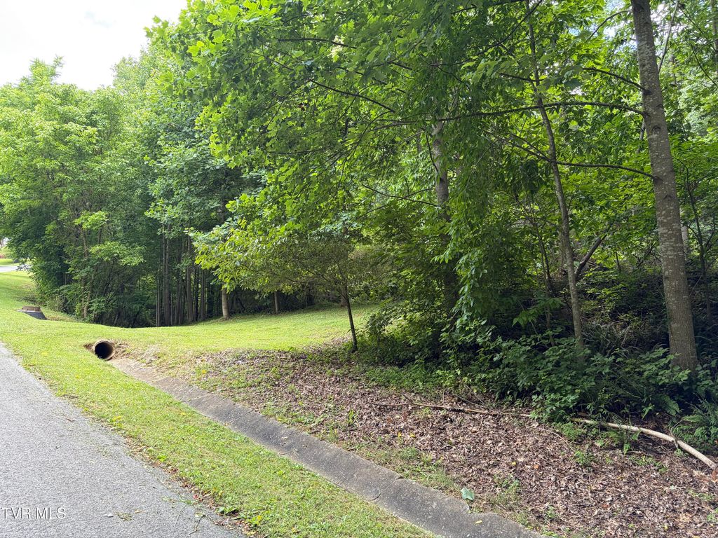 Photo of Tbd Woodhurst Street, Weber City, VA 24290 (MLS # 9997128)