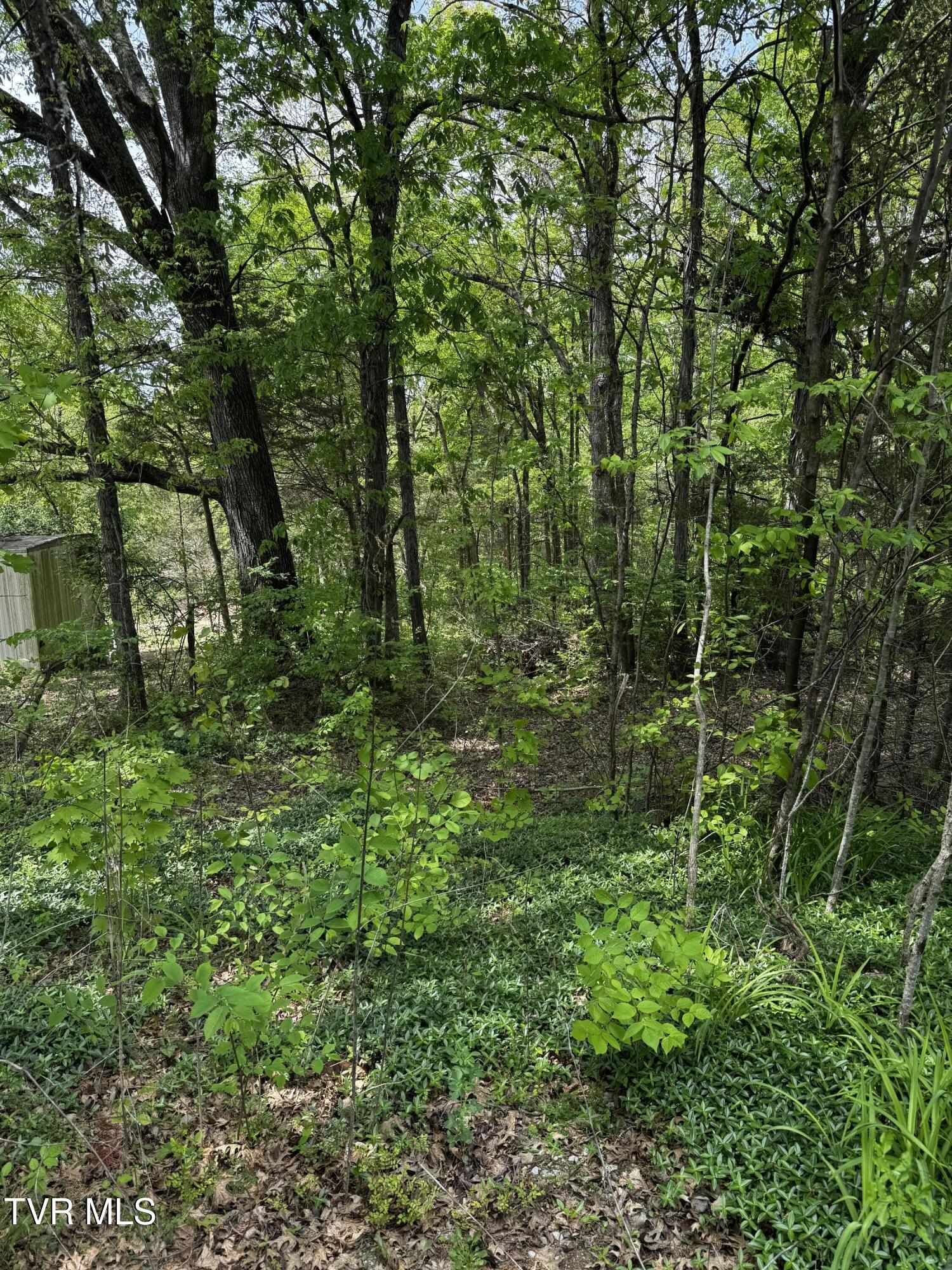 5.23 Ac Dogwalk Road, Greeneville, Tennessee image 8
