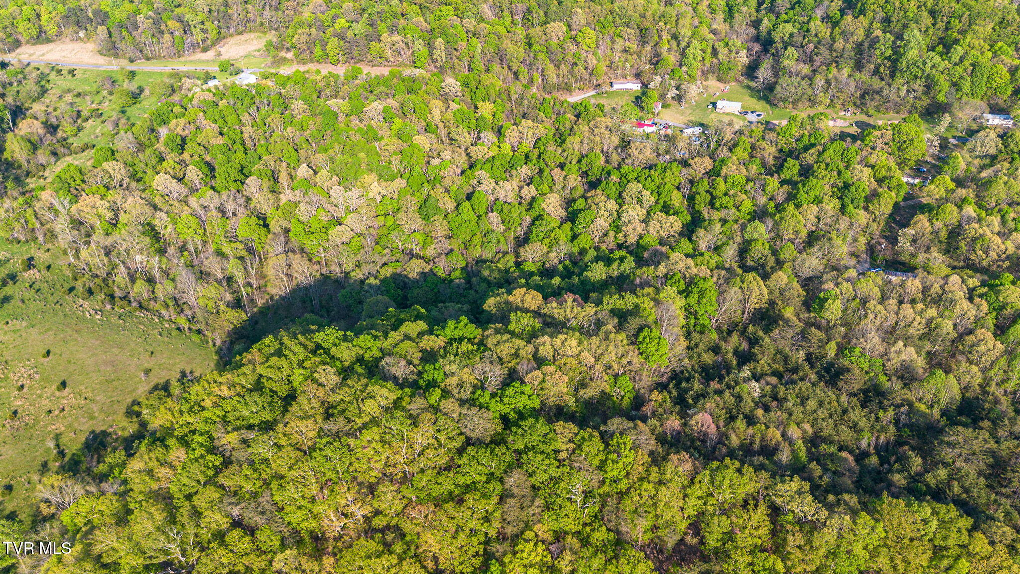 5.23 Ac Dogwalk Road, Greeneville, Tennessee image 15