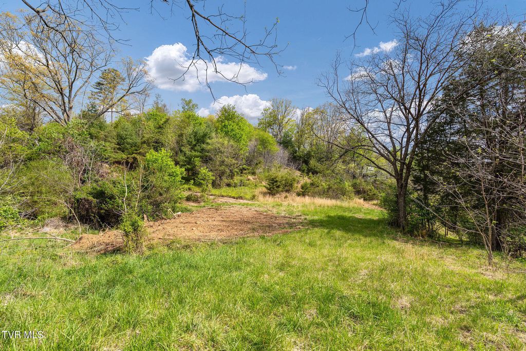 Photo of Tbd Lacy Hollow Road, Elizabethton, TN 37643 (MLS # 9994090)