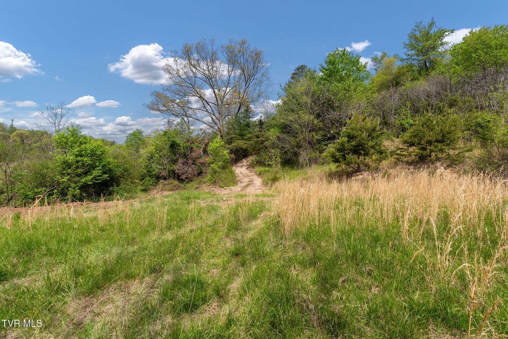 Photo of Tbd Lacy Hollow Road, Elizabethton, TN 37643 (MLS # 9994090)