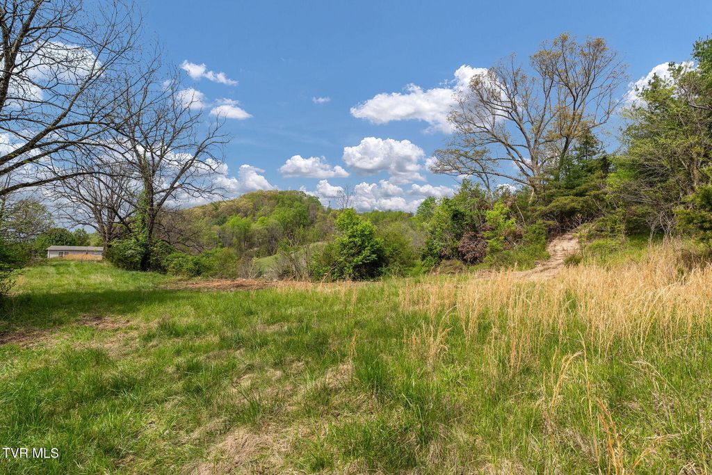 Photo of Tbd Lacy Hollow Road, Elizabethton, TN 37643 (MLS # 9994090)