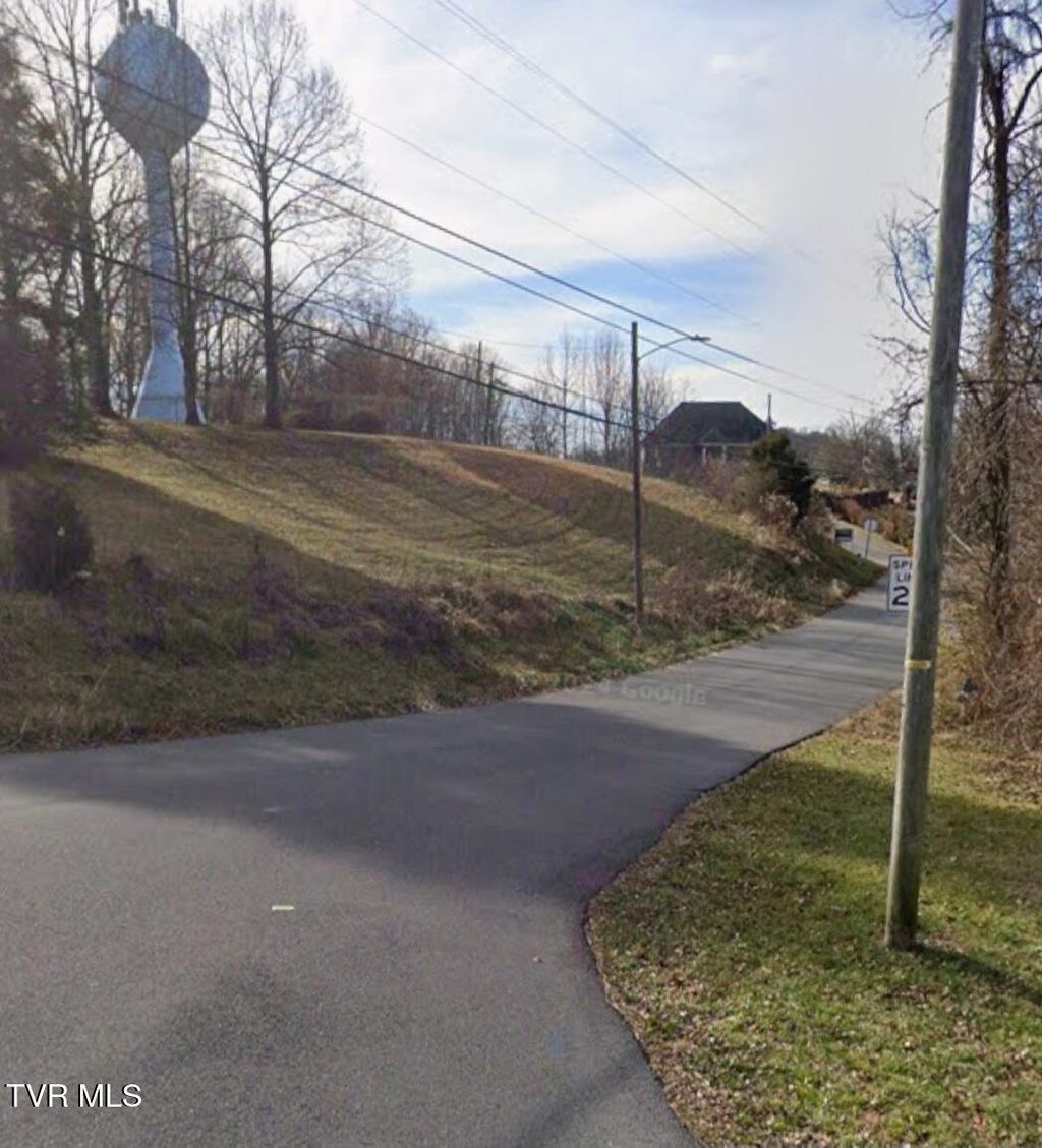 Photo of 1307 College Heights Road, Johnson City, TN 37604 (MLS # 9984624)