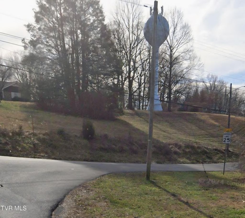 Photo of 1307 College Heights Road, Johnson City, TN 37604 (MLS # 9984624)