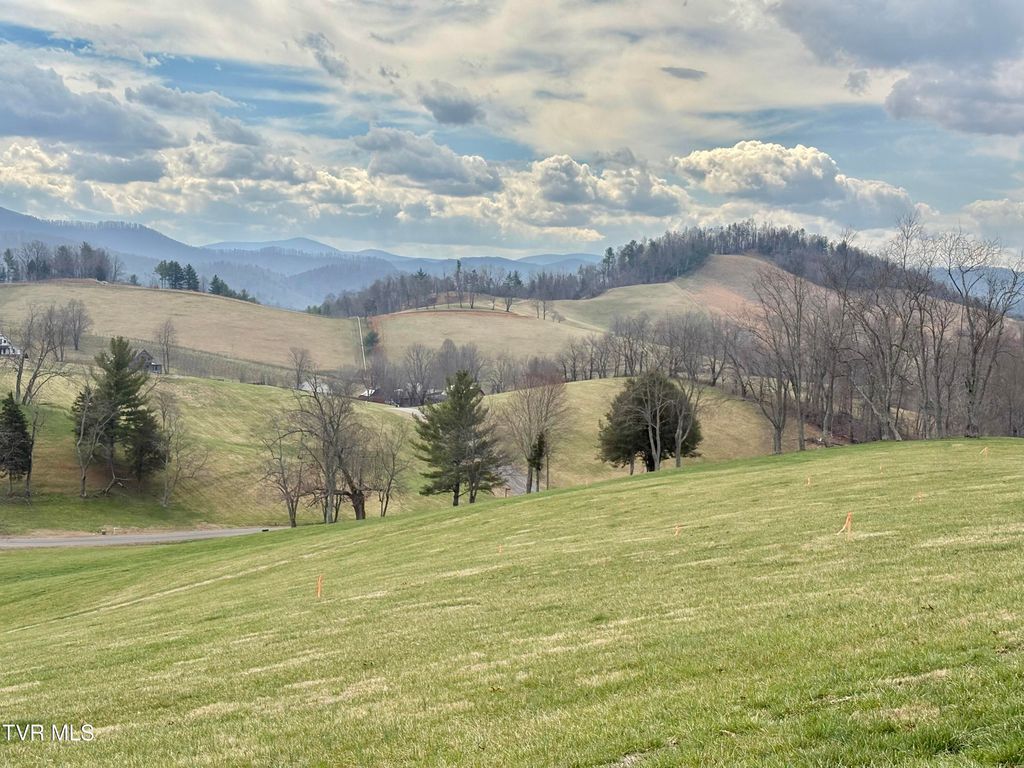 Photo of 23 Prairie Overlook Road, Butler, TN 37640 (MLS # 9992332)