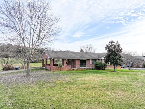 Photo of 180 Doughtys Chapel Road, Greeneville, TN 37745 (MLS # 9988550)