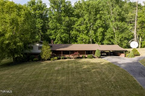 Photo of 128 Lum Mcintosh Road, Erwin, TN 37650 (MLS # 9995842)