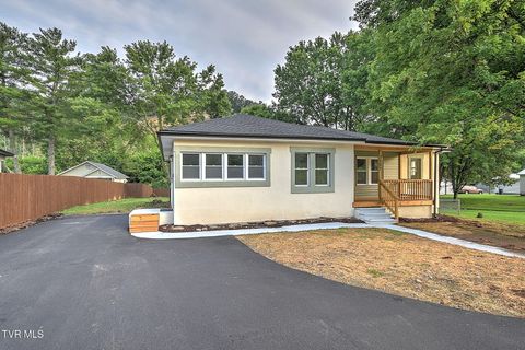 Homes For Sale - 1527 Gray Station Sulpher Springs Road<br/> Jonesborough, TN 37659