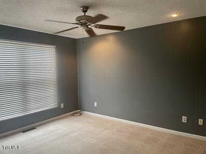 171 Bentley Parc #30, Johnson City, Tennessee image 10