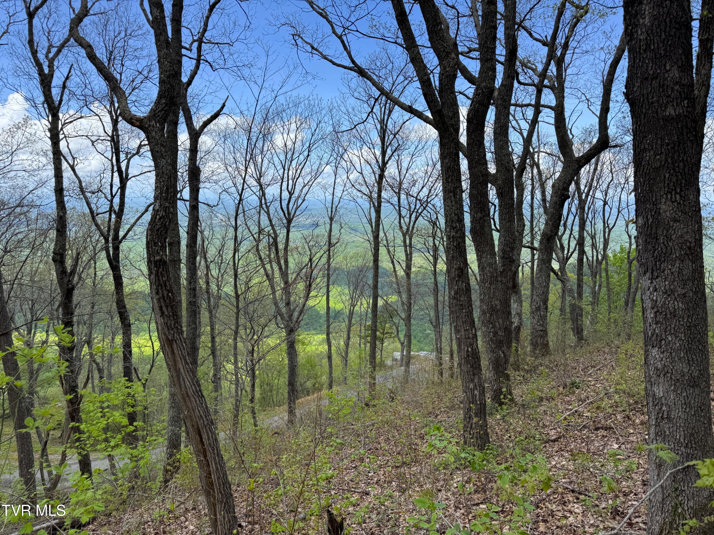 2939 Dupont Springs Road, Sevierville, Tennessee image 17