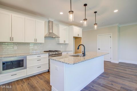 Tiny photo for 286 Dry Kiln Court, Johnson City, TN 37615 (MLS # 9985127)
