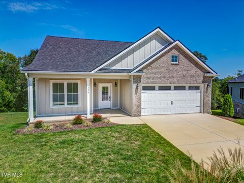 Tiny photo for 286 Dry Kiln Court, Johnson City, TN 37615 (MLS # 9985127)