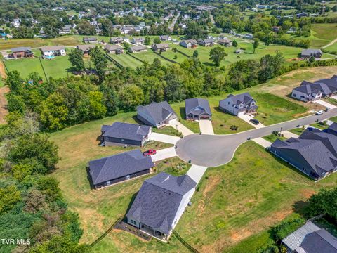 Tiny photo for 286 Dry Kiln Court, Johnson City, TN 37615 (MLS # 9985127)