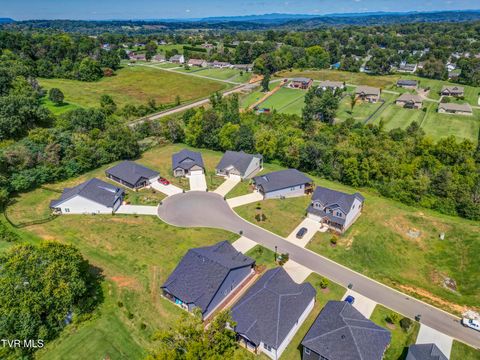 Tiny photo for 286 Dry Kiln Court, Johnson City, TN 37615 (MLS # 9985127)