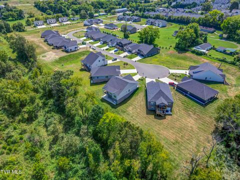 Tiny photo for 286 Dry Kiln Court, Johnson City, TN 37615 (MLS # 9985127)