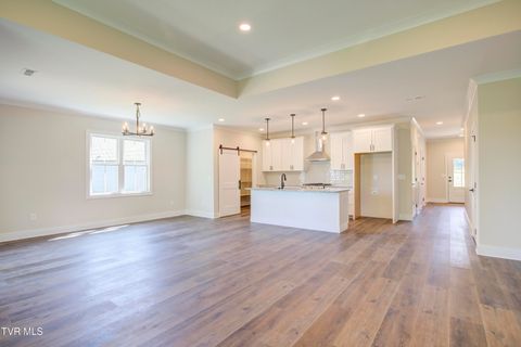 Tiny photo for 286 Dry Kiln Court, Johnson City, TN 37615 (MLS # 9985127)