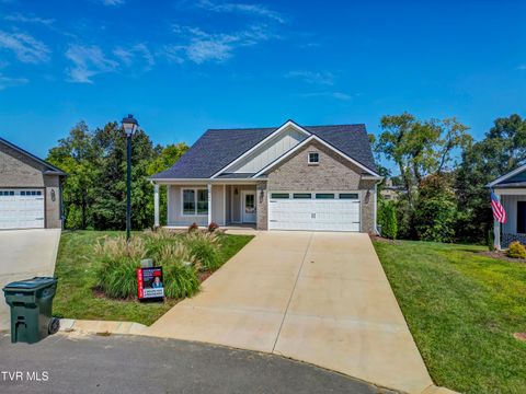 Tiny photo for 286 Dry Kiln Court, Johnson City, TN 37615 (MLS # 9985127)