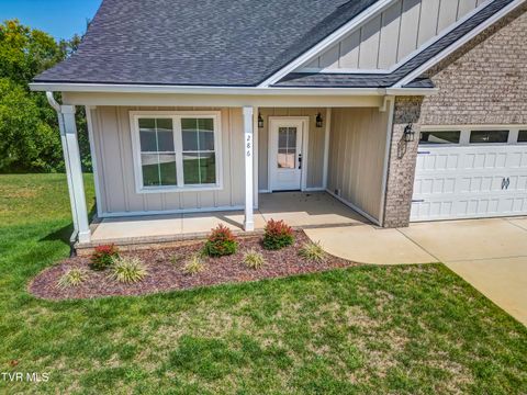 Tiny photo for 286 Dry Kiln Court, Johnson City, TN 37615 (MLS # 9985127)