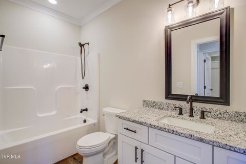 Tiny photo for 286 Dry Kiln Court, Johnson City, TN 37615 (MLS # 9985127)