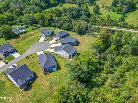 Tiny photo for 286 Dry Kiln Court, Johnson City, TN 37615 (MLS # 9985127)