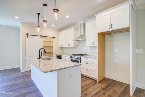 Tiny photo for 286 Dry Kiln Court, Johnson City, TN 37615 (MLS # 9985127)