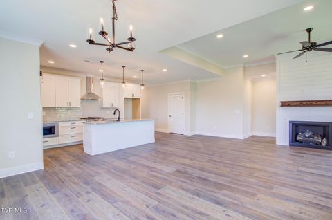 Tiny photo for 286 Dry Kiln Court, Johnson City, TN 37615 (MLS # 9985127)