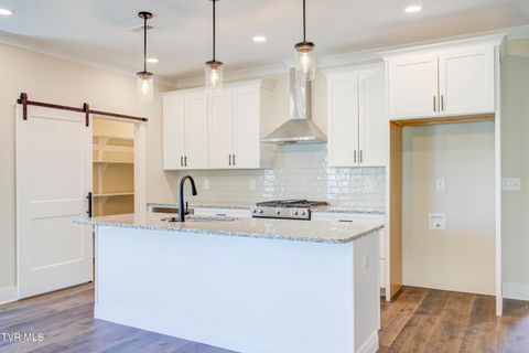 Tiny photo for 286 Dry Kiln Court, Johnson City, TN 37615 (MLS # 9985127)