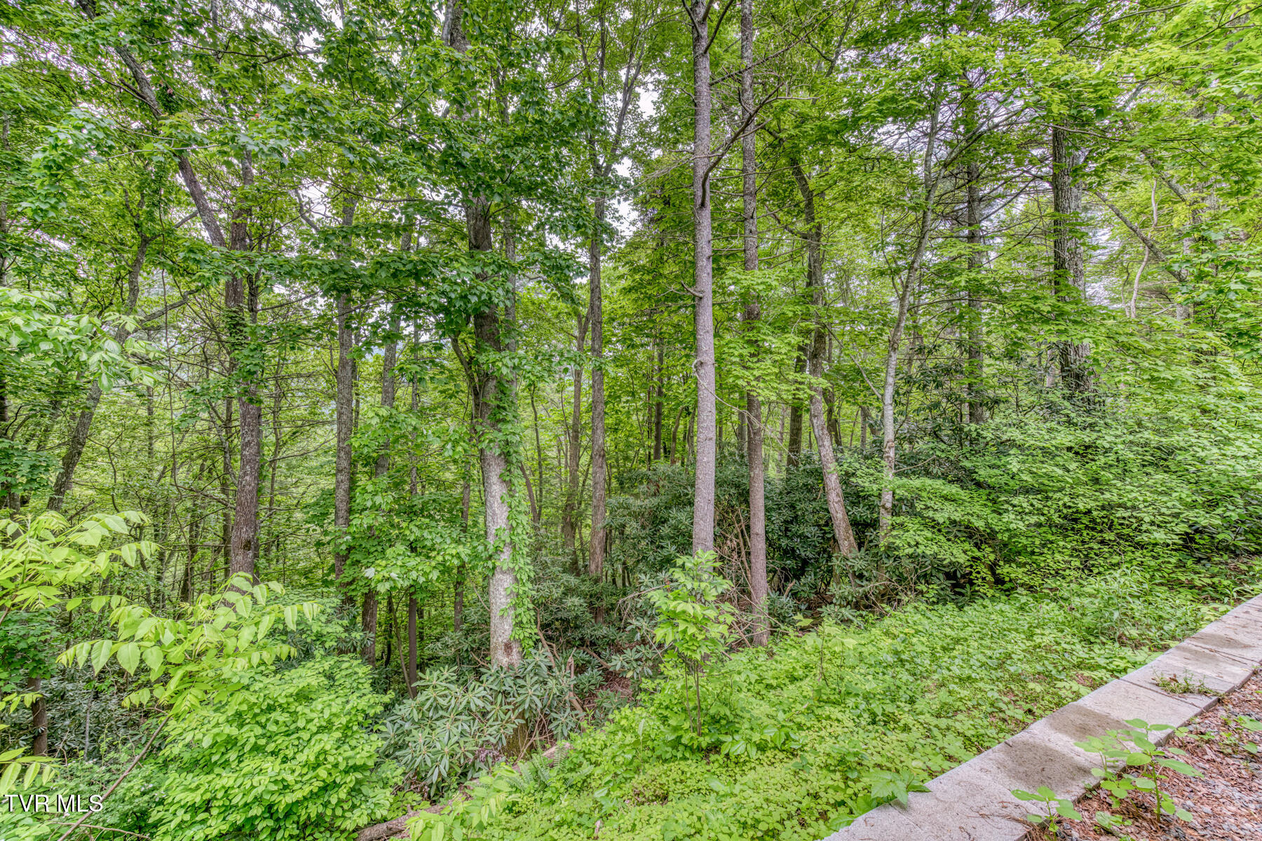 996 Fox Hollow Road, Mountain City, Tennessee image 34