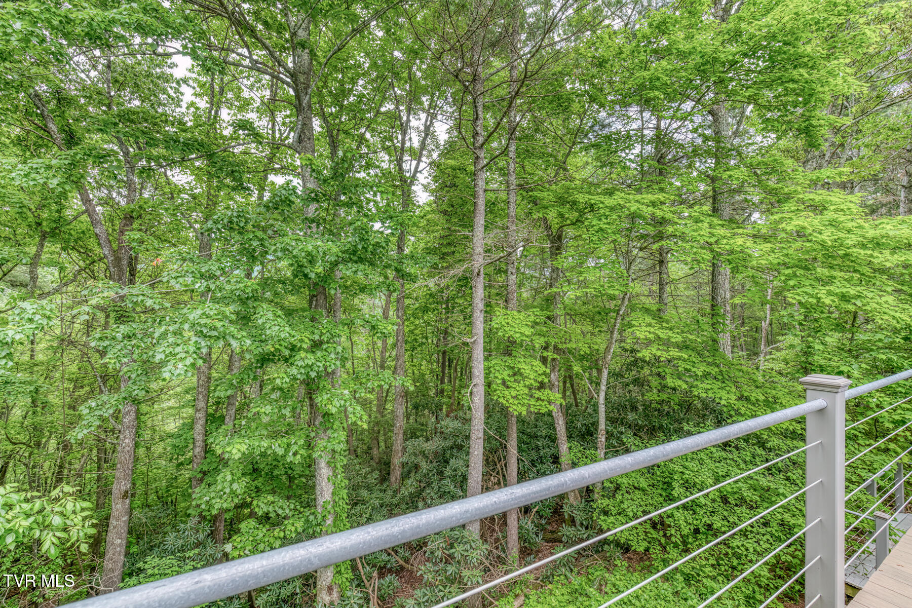 996 Fox Hollow Road, Mountain City, Tennessee image 21