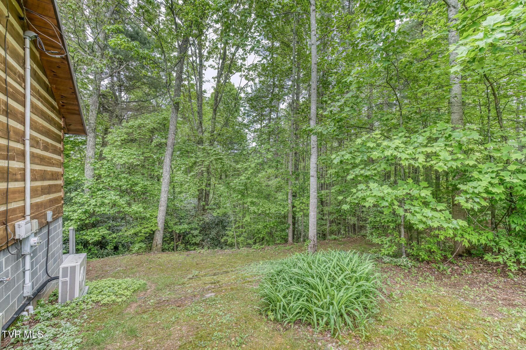 996 Fox Hollow Road, Mountain City, Tennessee image 31