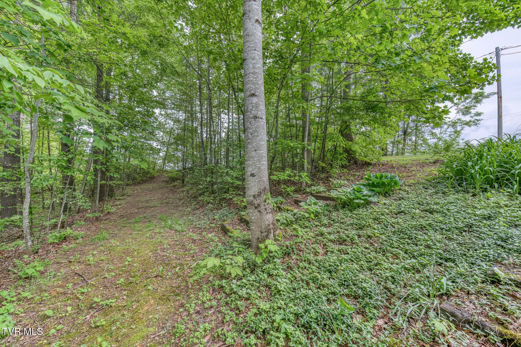 996 Fox Hollow Road, Mountain City, Tennessee image 33
