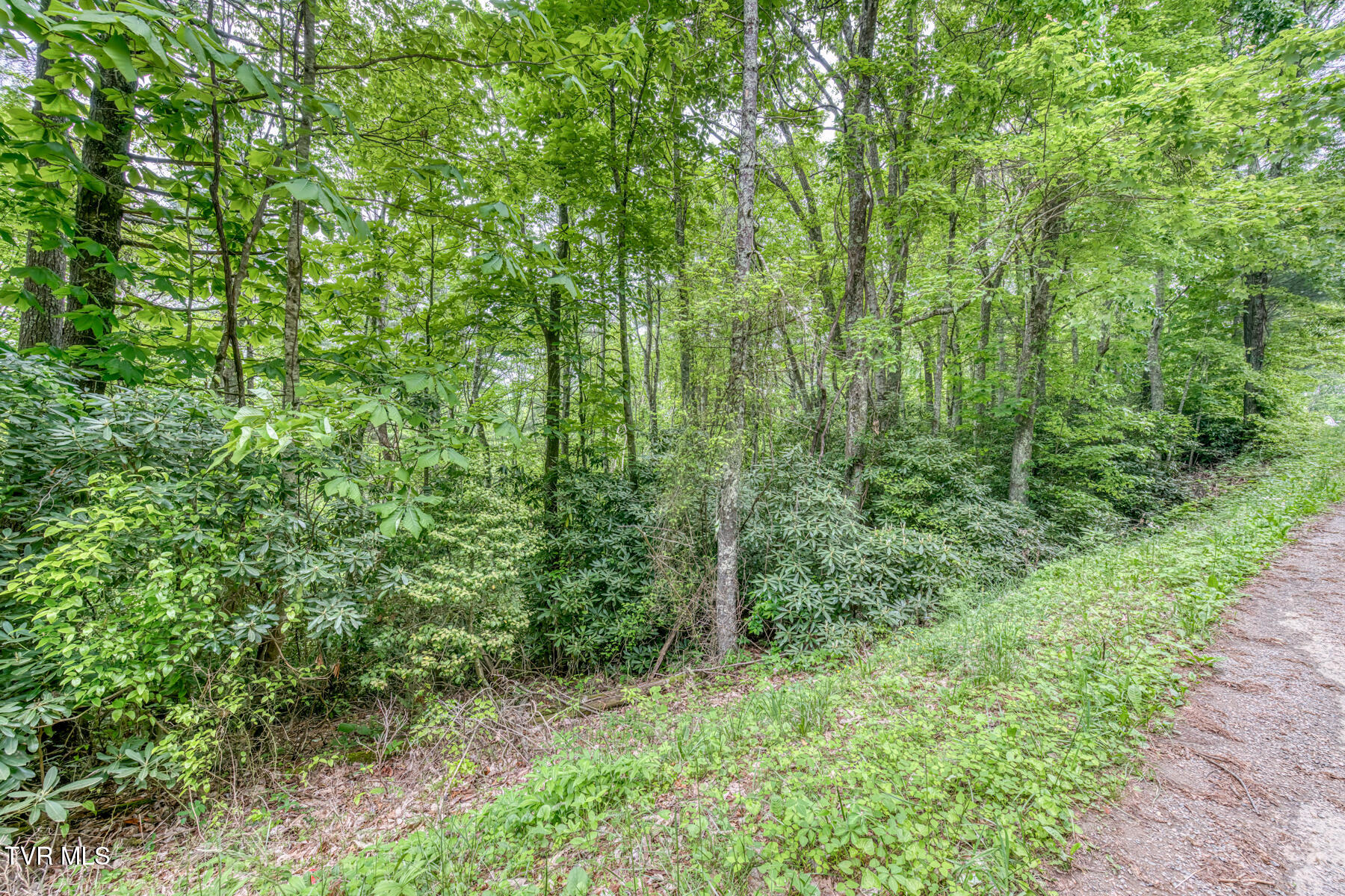 996 Fox Hollow Road, Mountain City, Tennessee image 39