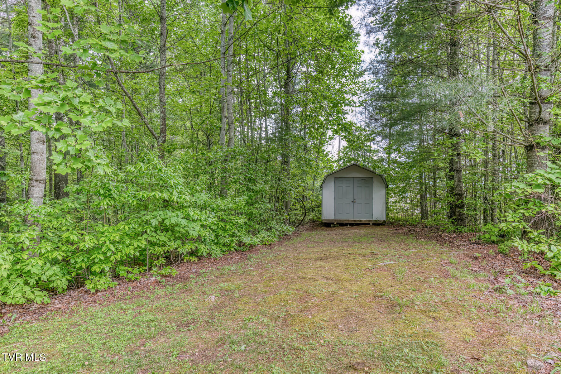 996 Fox Hollow Road, Mountain City, Tennessee image 32