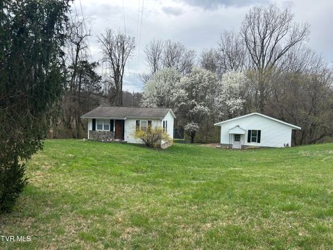 Photo of 257 Lynn Road, Johnson City, TN 37604 (MLS # 9992214)