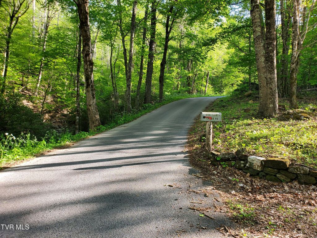Photo of 190 Big Cove Creek Road, Roan Mountain, TN 37687 (MLS # 9995128)