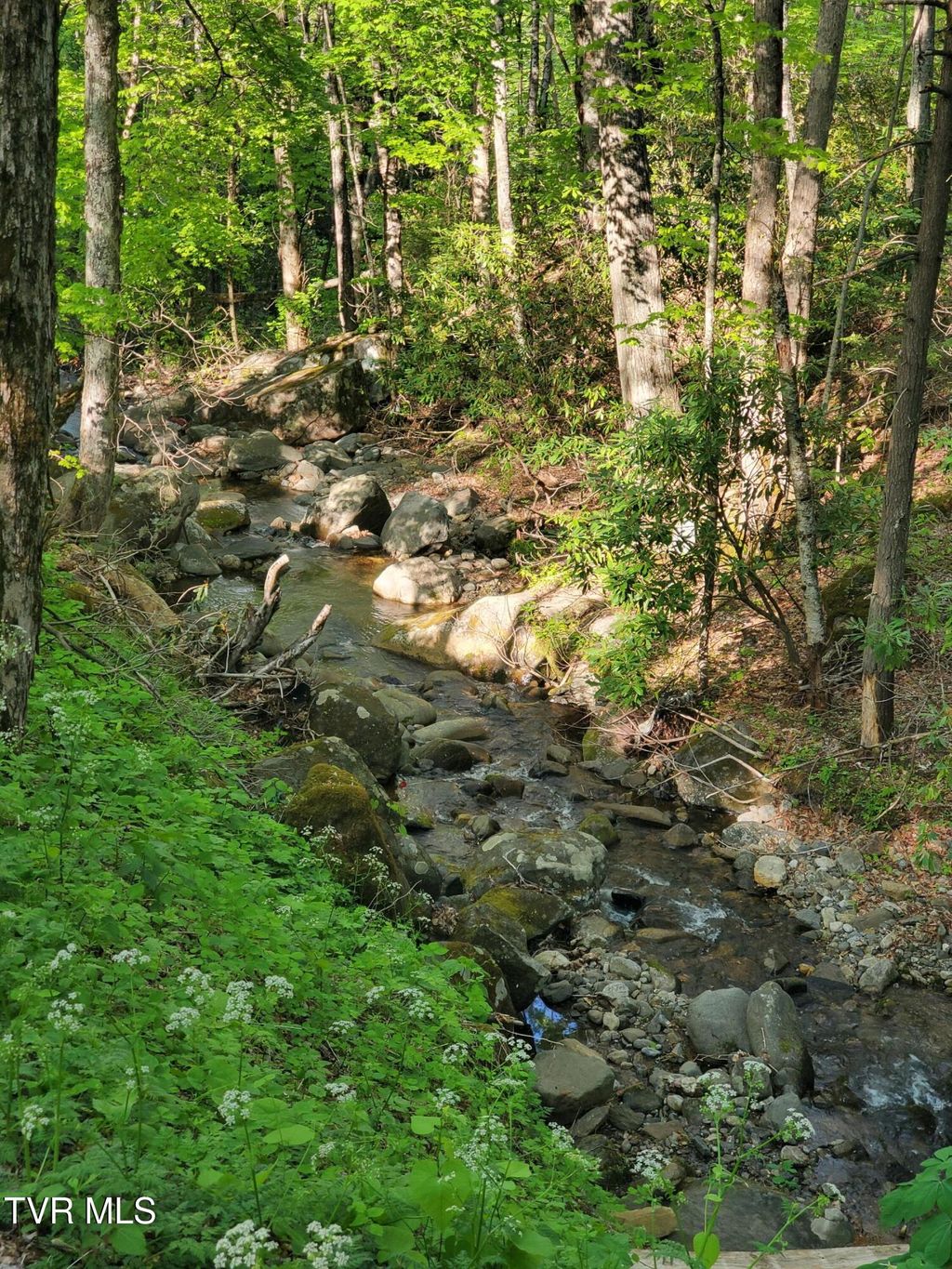 Photo of 190 Big Cove Creek Road, Roan Mountain, TN 37687 (MLS # 9995128)