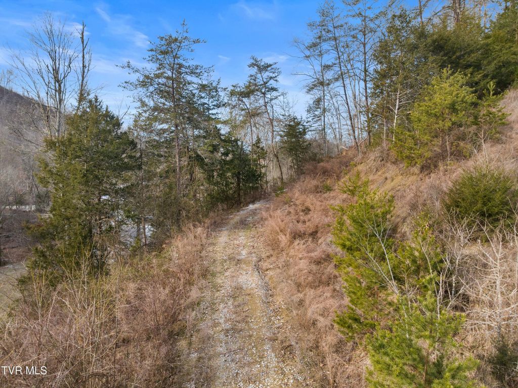 Photo of 260 Shepard Lane, Thorn Hill, TN 37881 (MLS # 9990818)