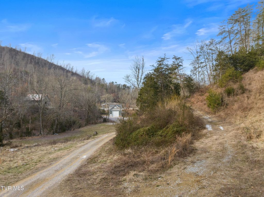 Photo of 260 Shepard Lane, Thorn Hill, TN 37881 (MLS # 9990818)