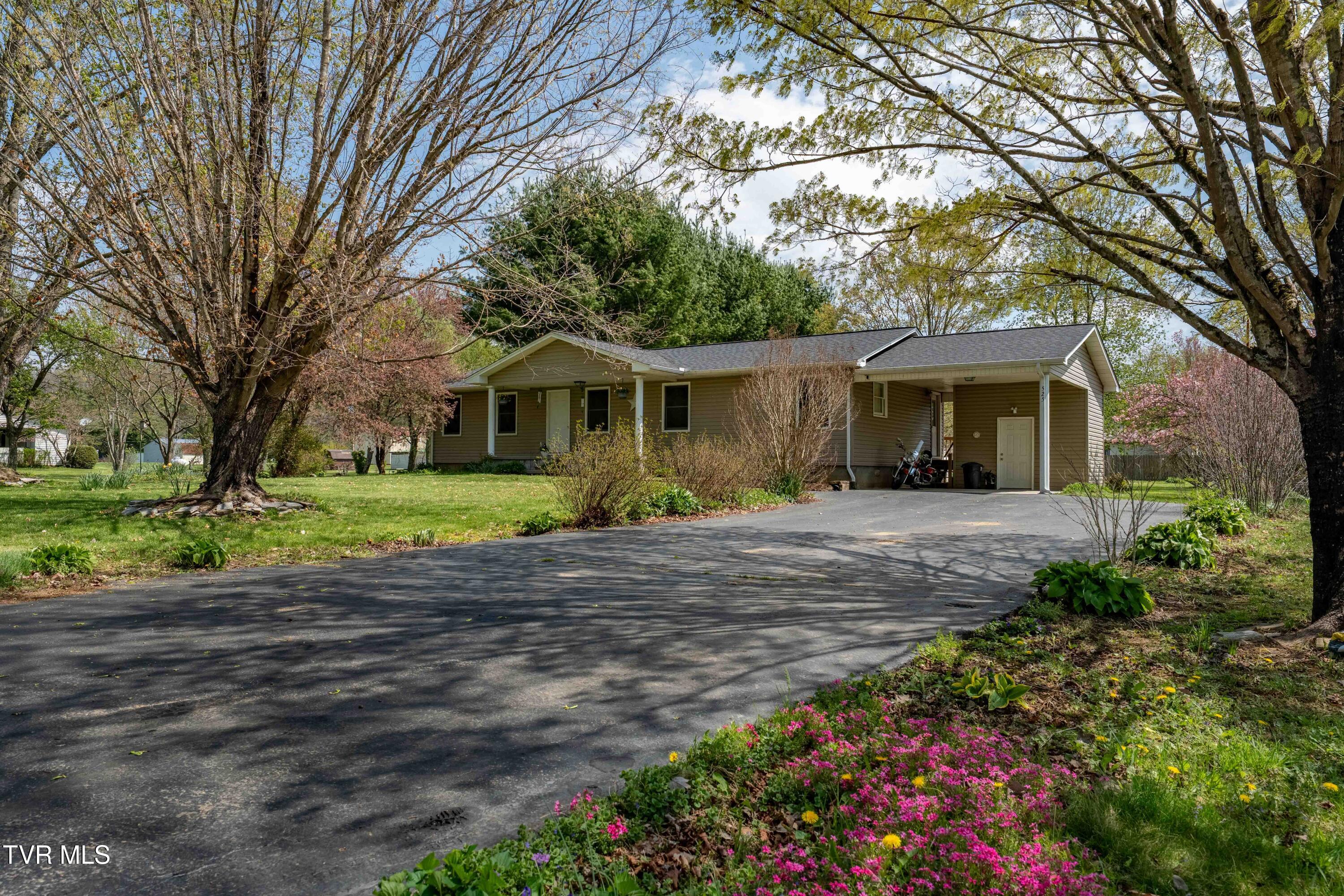 525 Adams Road, Mountain City, Tennessee image 2