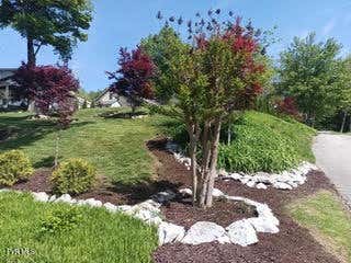 Photo of 126 Boone Street, Jonesborough, TN 37659 (MLS # 9981614)