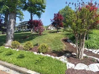 Photo of 126 Boone Street, Jonesborough, TN 37659 (MLS # 9981614)