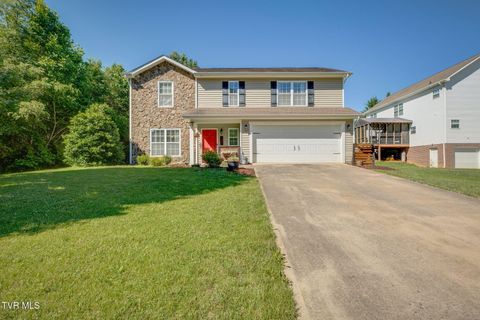Photo of 291 Holland View Drive, Jonesborough, TN 37659 (MLS # 9996425)