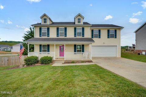 2201 Fox Meadows Circle Bluff City TN 37618