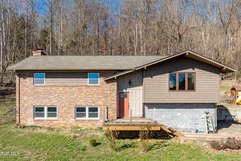 171 Ramsey Drive Gray TN 37615