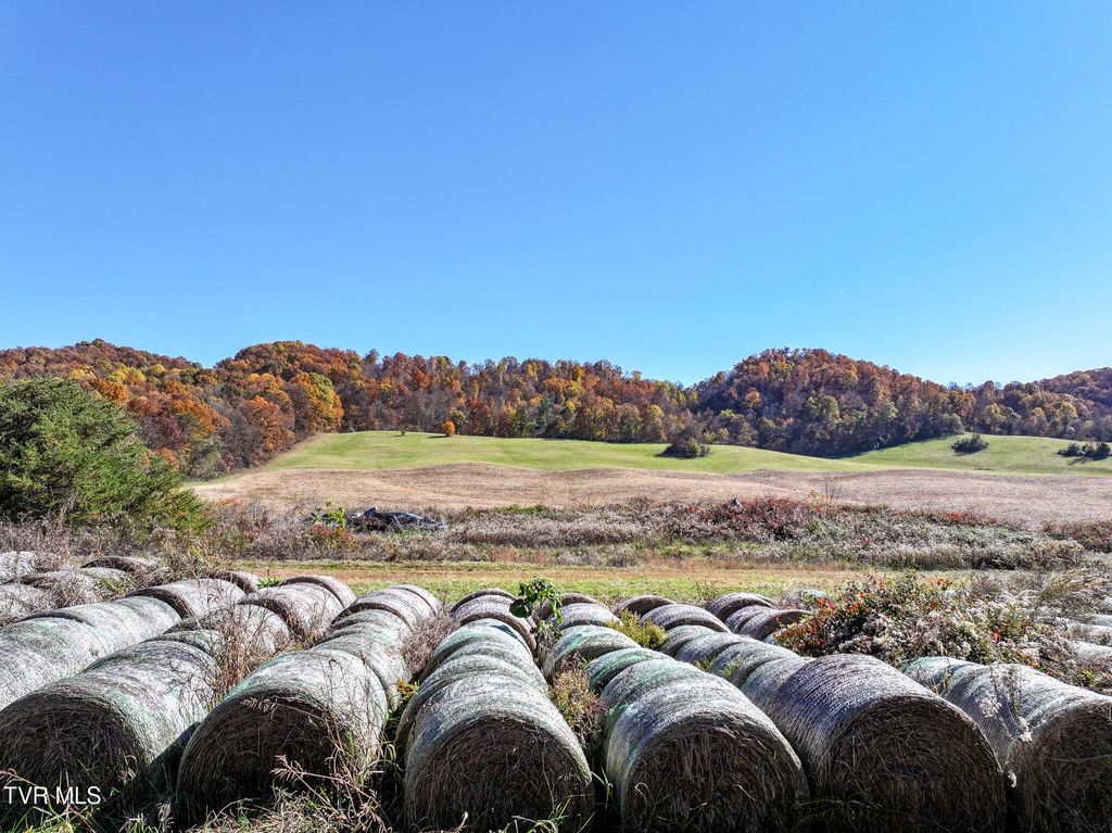 Photo of 5360 Old Snapps Ferry Road, Limestone, TN 37681 (MLS # 9988197)